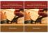 An Essay Concerning Humane Understanding ( Vol1 & Vol 2 )