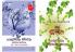 Prakrithi and Ayurvedam Combo pack