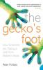 Gecko's Foot