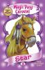 Magic Pony Carousel #3: Star the Western Pony