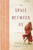 Space Between Us