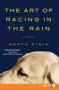 Art of Racing in the Rain
