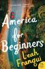 America for Beginners