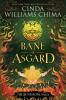 Runestone Saga: Bane of Asgard The