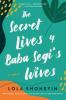 Secret Lives of Baba Segi's Wives