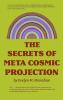 Secrets of Meta-Cosmic Projection
