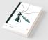 Mosquito and Other Stories