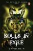 Souls in Exile The Return of Ravana Book 3