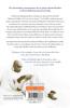 My Dear Bapu (PB)