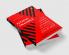 A Fateful Triangle How China Shaped US-
