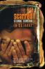 Scarred : Experiment's With Violence In