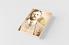 Theodore Roosevelt (Re-Issue) P