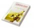 A PEDAGOGUE'S ROMANCE (SECOND EDITION)