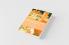 History of Political Theory Volume II