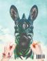 Animales Salvajes