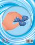Fidget Frenzy