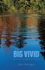 Big Vivid