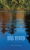 Big Vivid