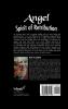 Angel Spirit of Retribution