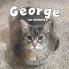 George