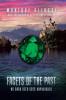 Facets of the Past