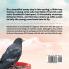 Little Boy and the Young Crow