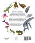 Botanical Odyssey