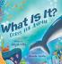 What Is It?