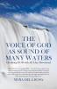 Voice of God as Sound of Many Waters
