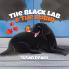 Black Lab & the Robin