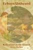 Echoes Unheard