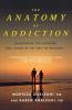 Anatomy of Addiction