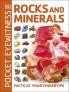 Pocket Eyewitness Rocks and Minerals Facts at your Fingertips