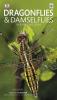 Dragonflies & Damselflies in & Around Delhi: A Field Guide