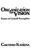 Organization in Vision