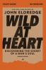 Wild at Heart Study Guide Updated Edition