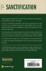 Five Views on Sanctification