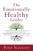 Emotionally Healthy Leader