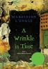 Wrinkle in Time
