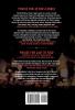 In for a Ruble: 2 (The Turbo Vlost Thrillers 2)