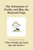 The Adventures of Pookie and Blue the Backyard Dogs How Pookie got back into the house.