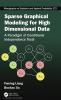 Sparse Graphical Modeling for High Dimensional Data