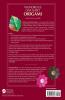 Wondrous One Sheet Origami