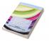 Handbook of University and Professional Careers in School Psychology