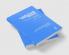 Study of the Principles of Politics