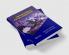 Clinical Guide to Primary Angioplasty