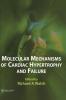 Molecular Mechanisms of Cardiac Hypertrophy and Failure