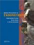 Modern Management of Endometriosis