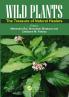 Wild Plants