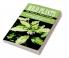 Wild Plants